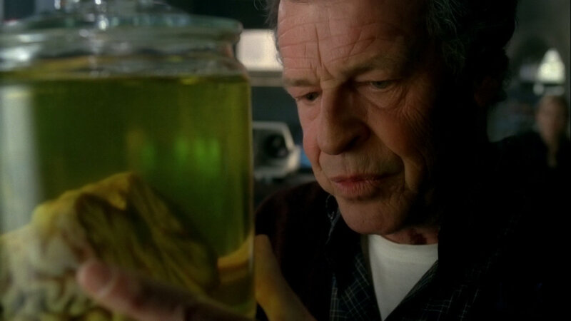 man examining preserved specimen