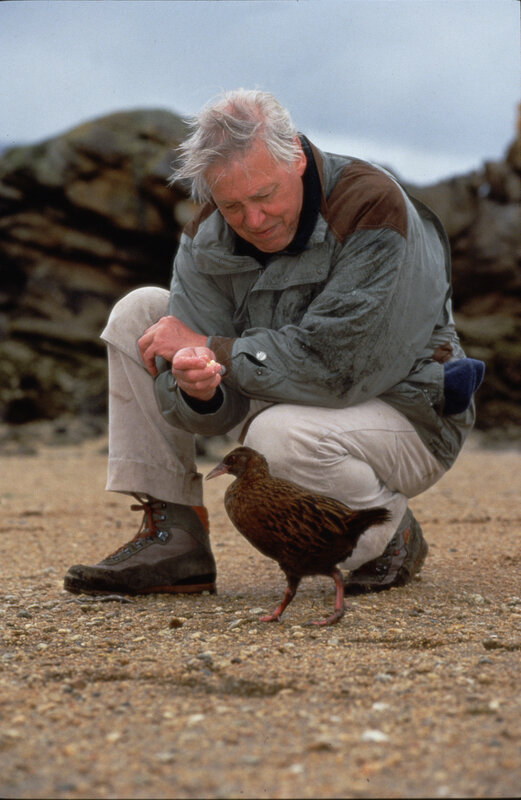 Man feeding a bird