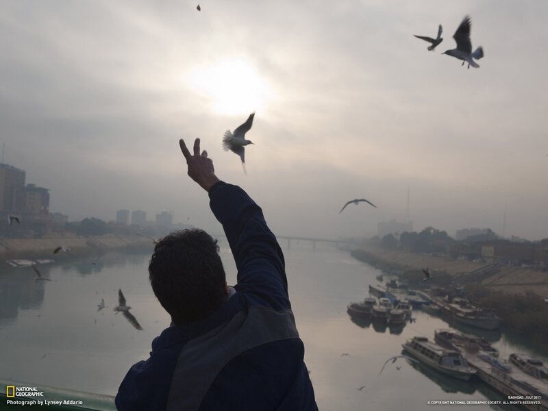 Man feeding birds by river