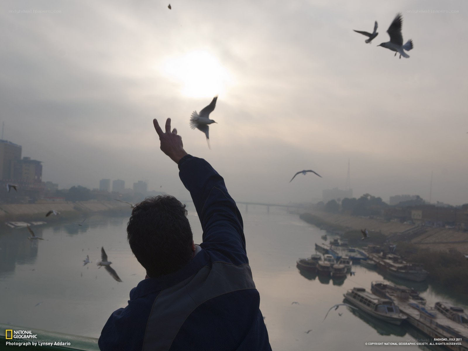 Man feeding birds by river