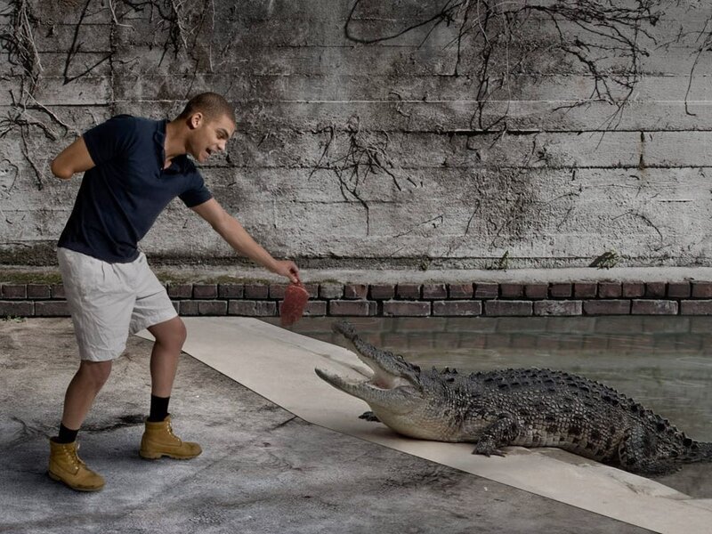 Man Feeding Crocodile — Gray