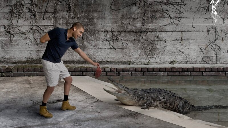 Man feeding crocodile