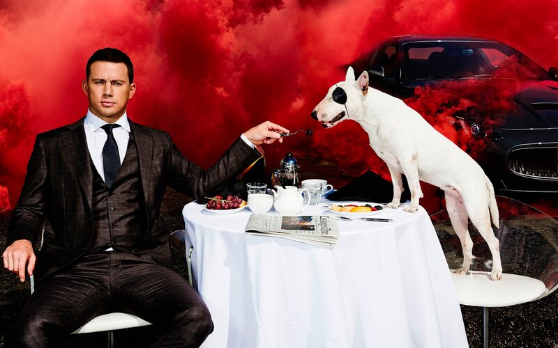 Man Feeding Dog