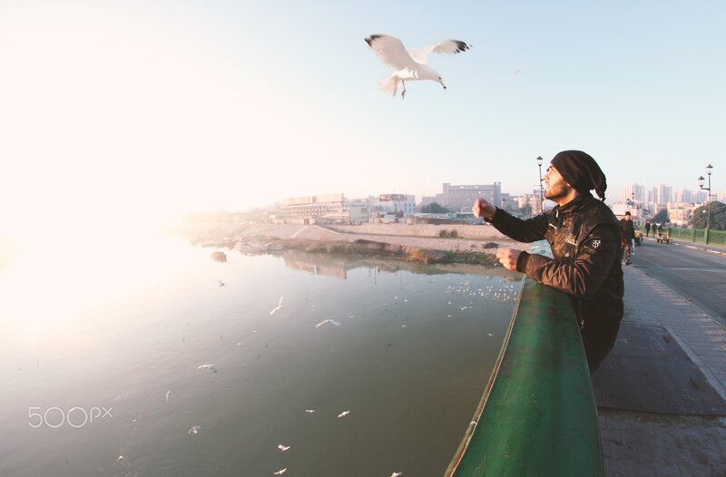 Man Feeding Seagulls