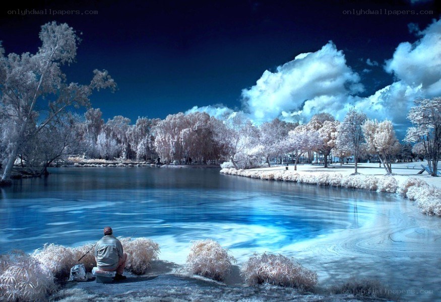 Man fishing by a lake
