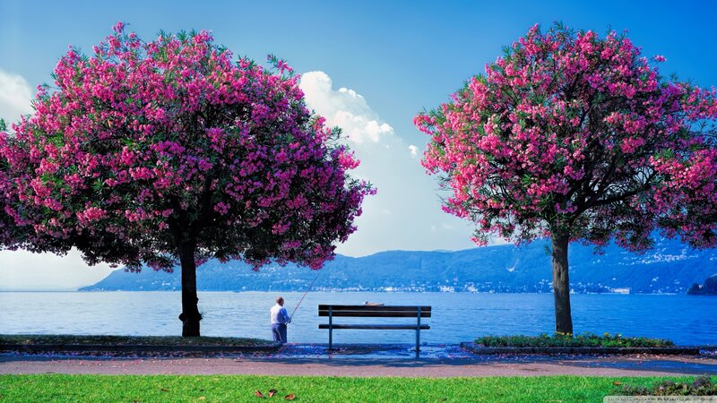 Man Fishing by Lake — Blue, Serene, Afternoon