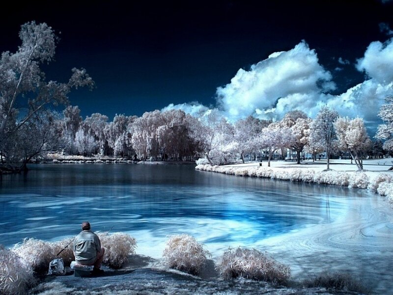 Man Fishing by Lake — Blue