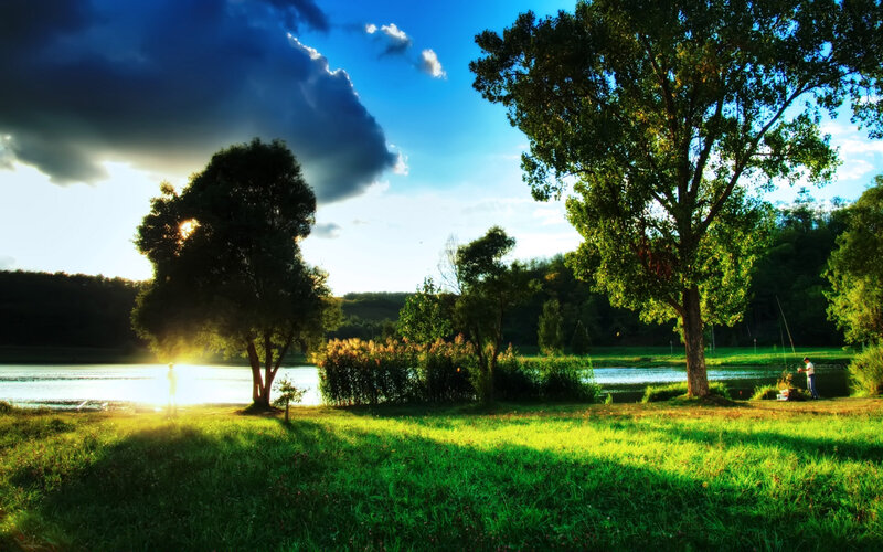 Man Fishing by Lake — Green