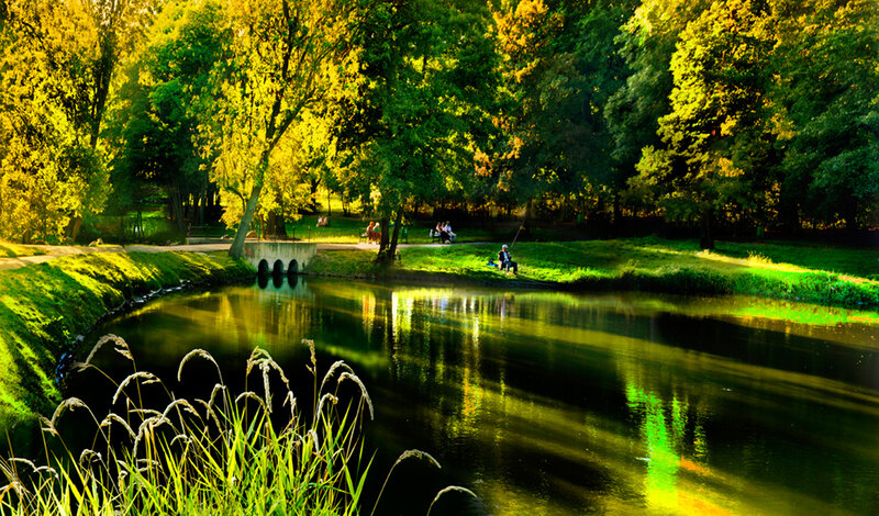 Man Fishing by River — Green, Serene