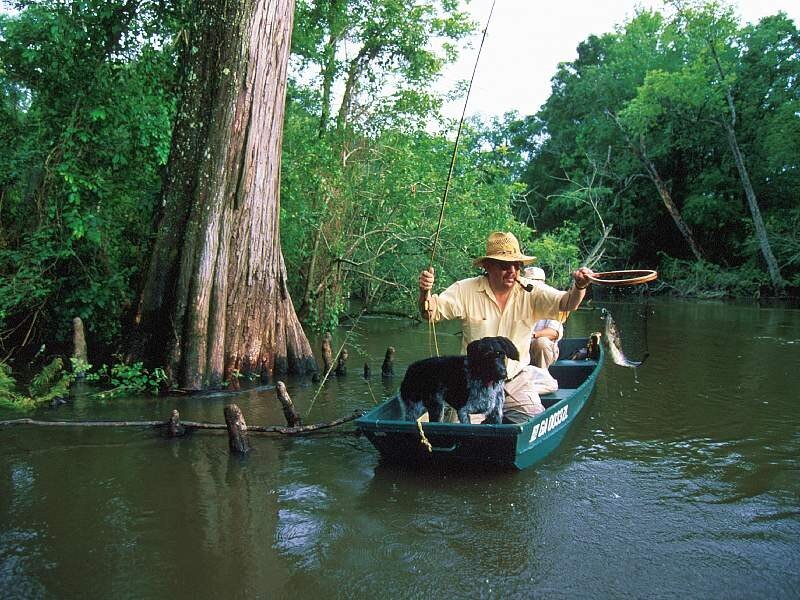 Man fishing in a swamp with dog
