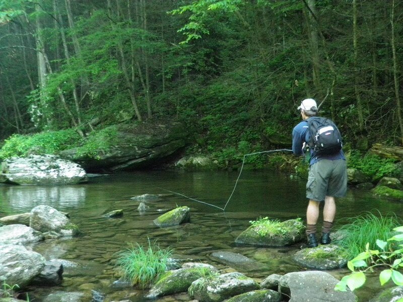 Man Fly Fishing — Green, Serene