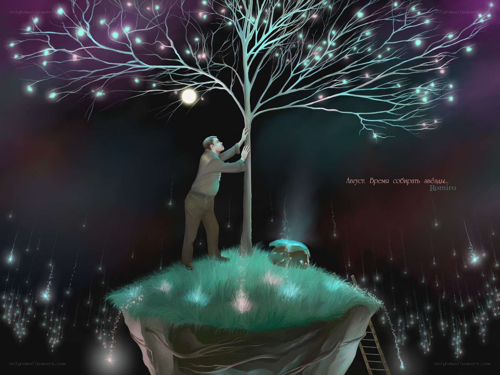 man gathering stars from a tree
