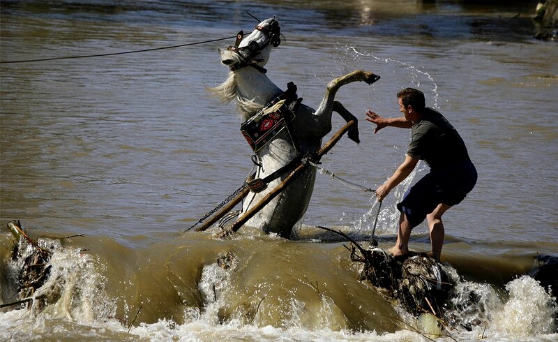 Man guiding horse through river