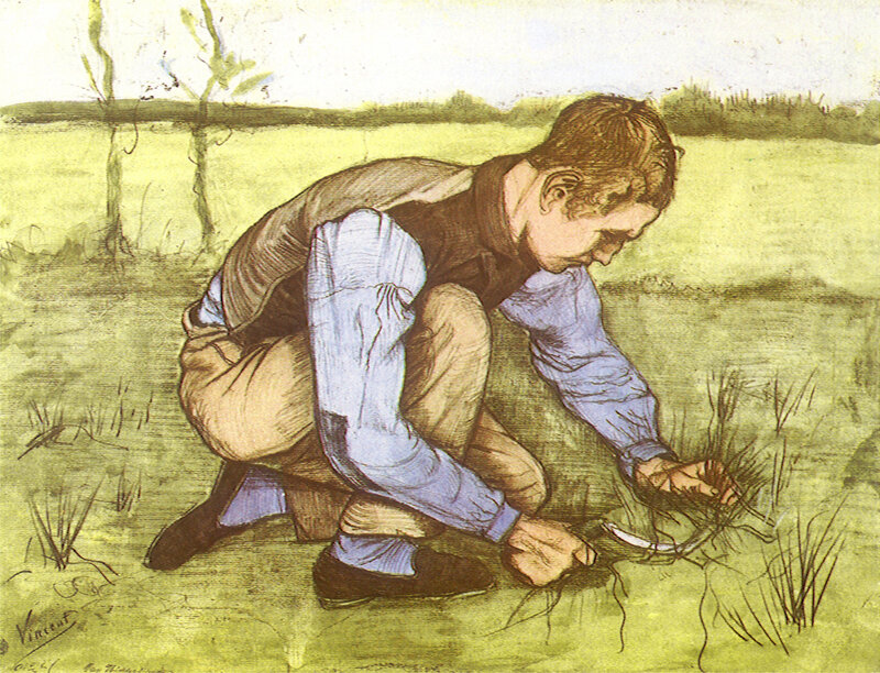 Man harvesting in a field