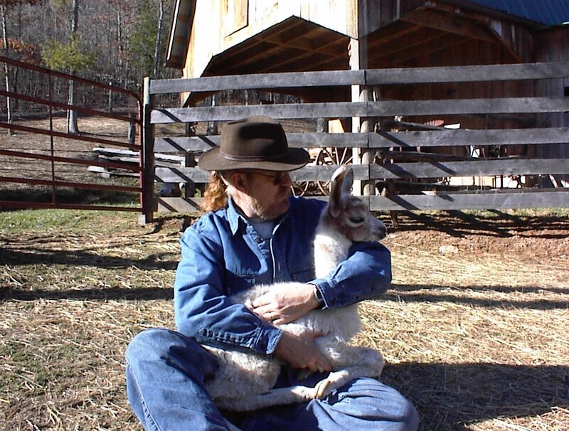 Man holding a baby llama
