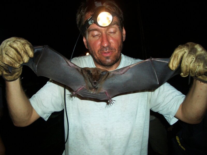 Man holding a bat at night