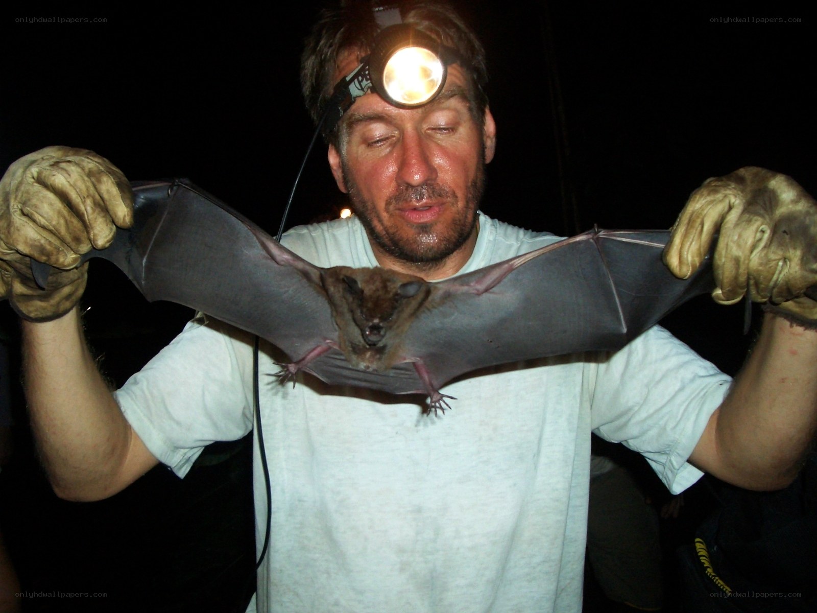 Man holding a bat at night