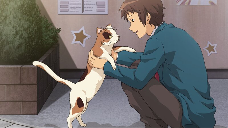 Man Holding a Cat — Blue