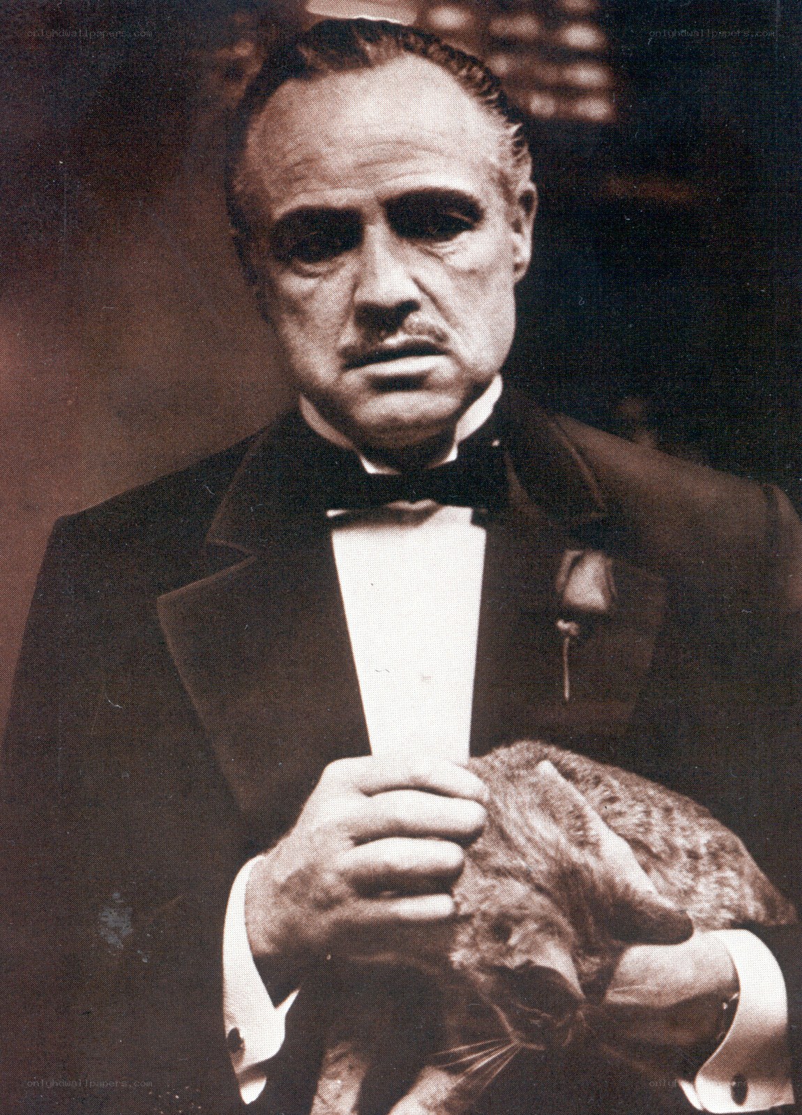 man holding a cat