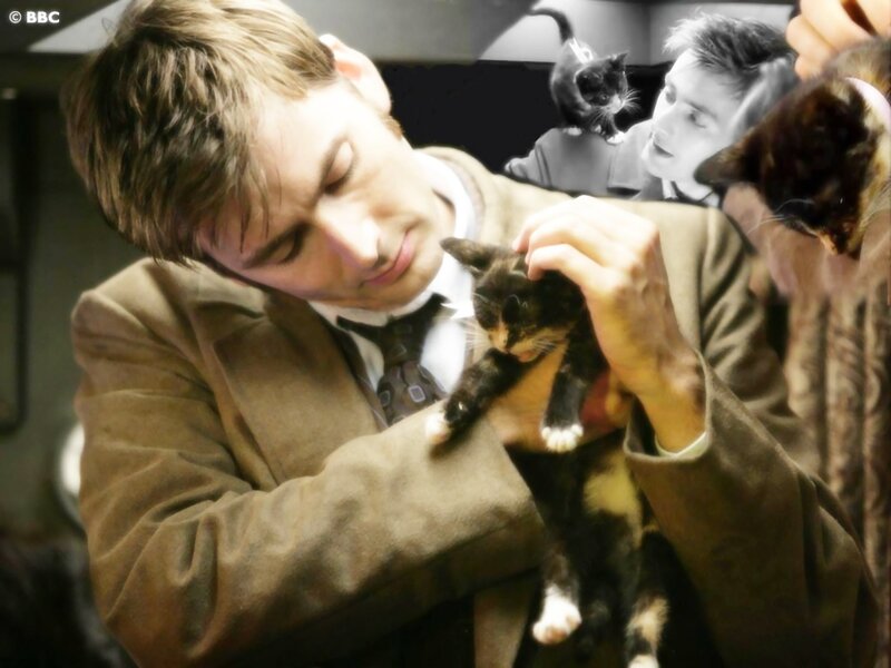 man holding a kitten