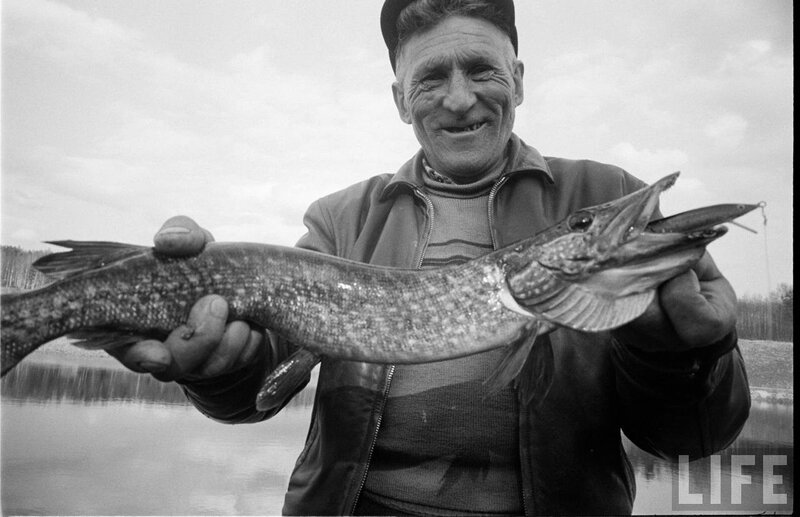 Man holding a large pike