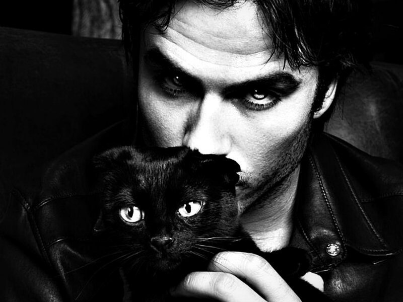 Man Holding Black Cat — Dramatic, Photograph