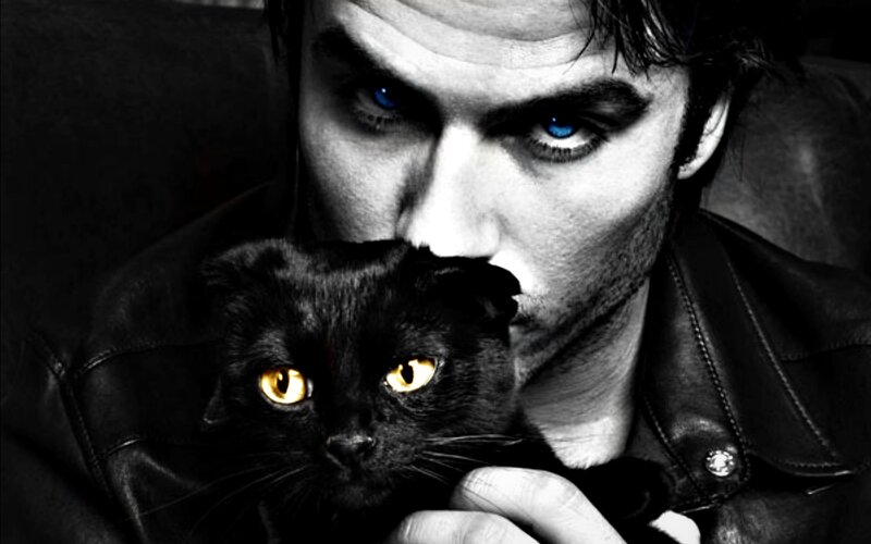Man Holding Black Cat — Dramatic