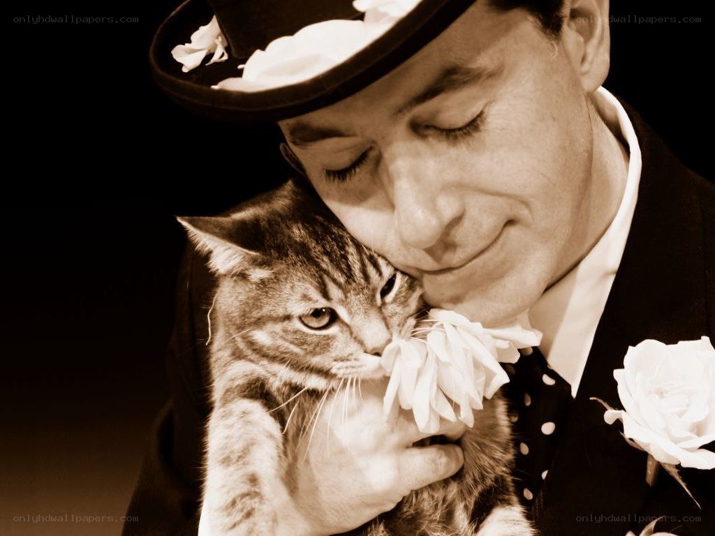 man holding cat in suit