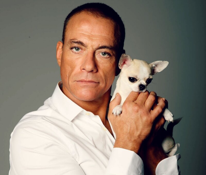 Man Holding Chihuahua