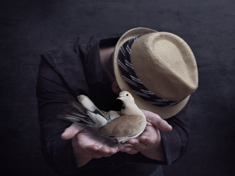 Man Holding Dove