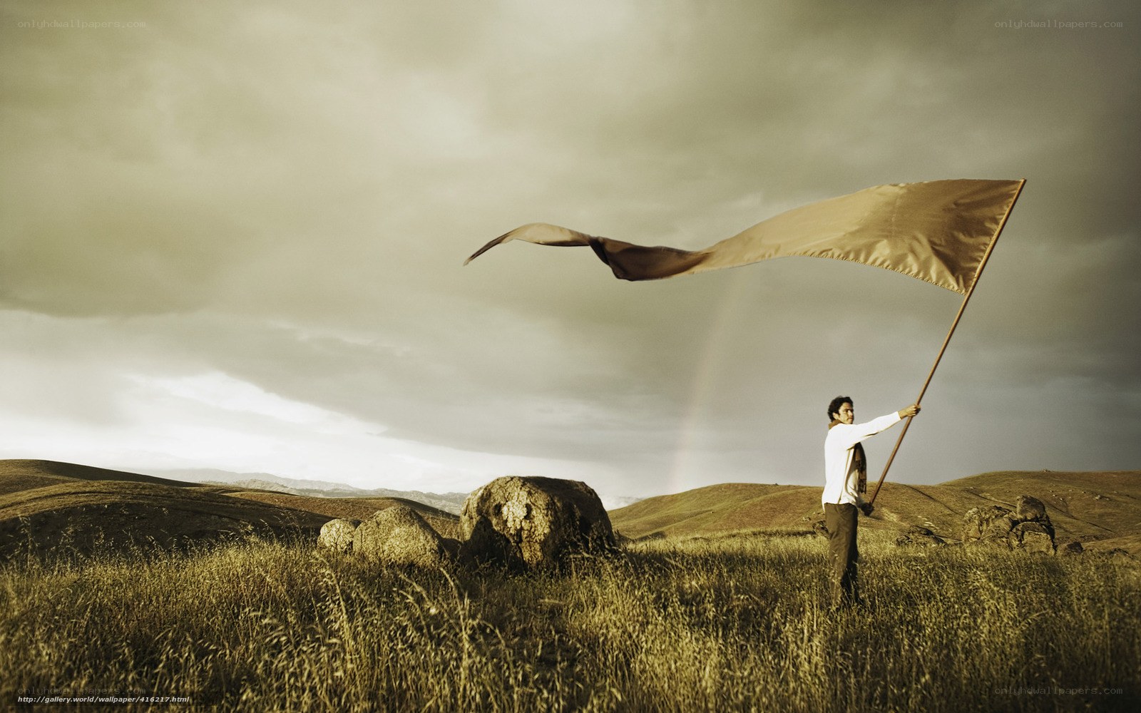 Man holding flag in field