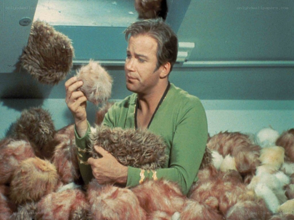 man holding furry creatures
