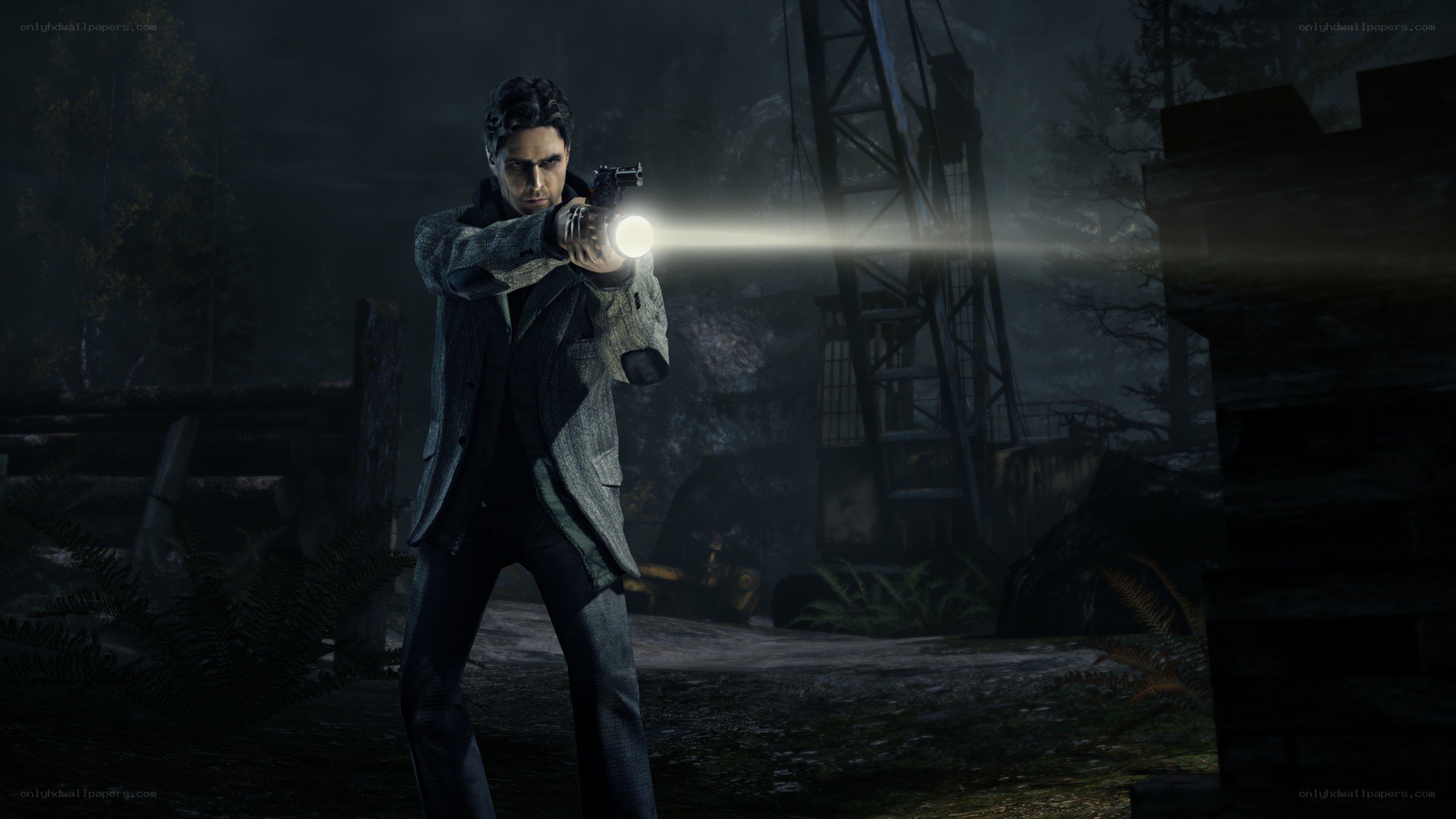 Man holding gun with flashlight