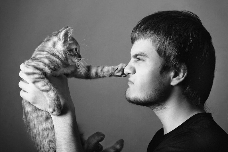Man Holding Kitten — Black