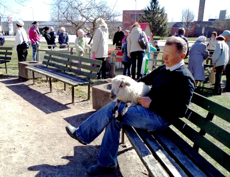 Man Holding Lamb — Green, Calm
