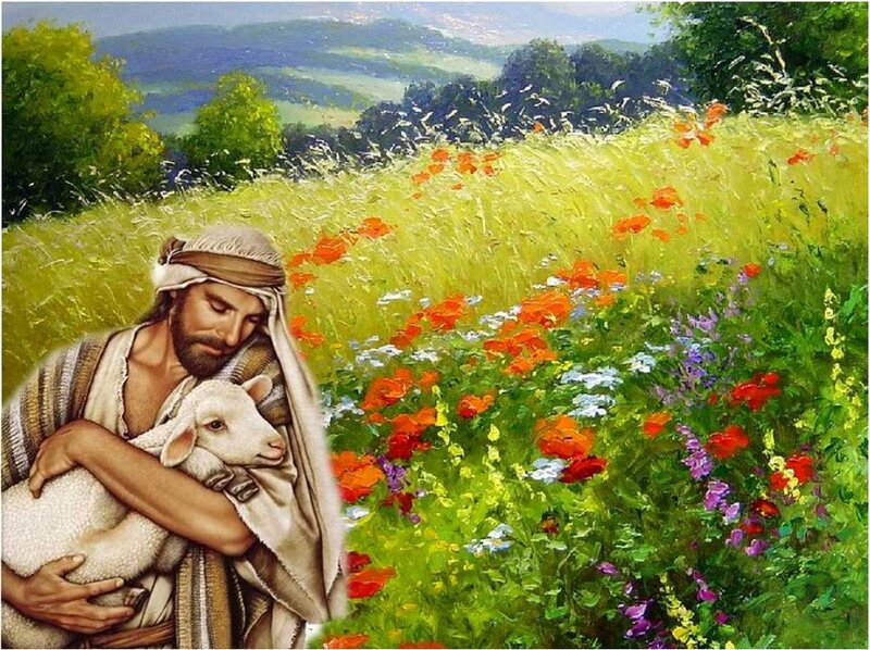 Man Holding Lamb — Green, Serene, Afternoon
