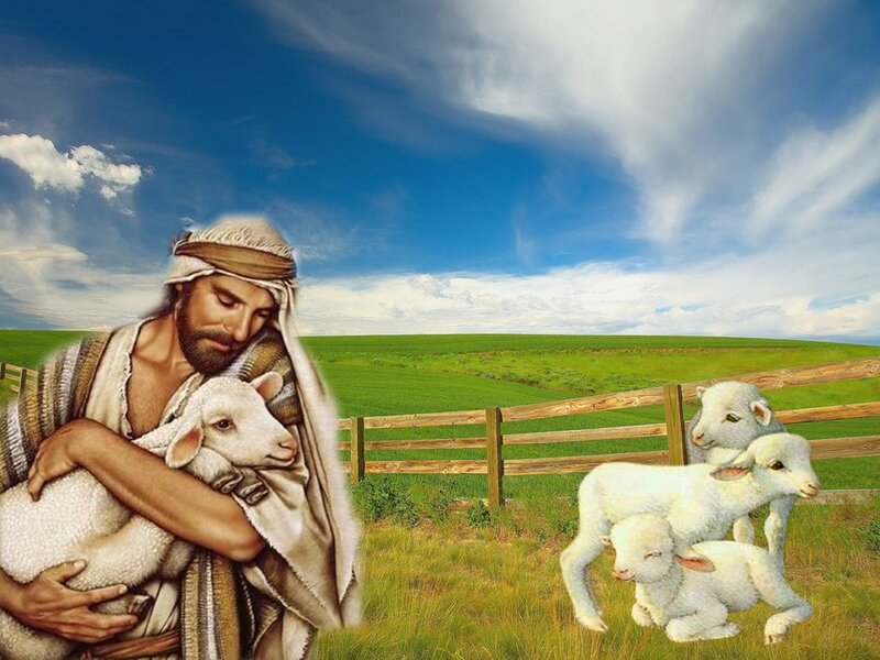 Man Holding Lamb — Green, Serene