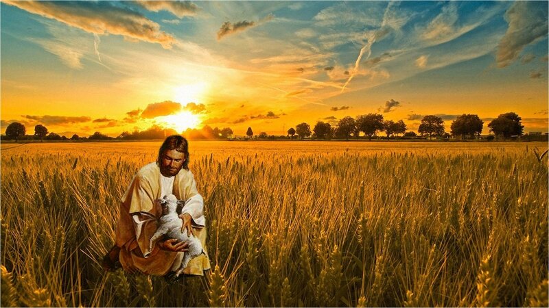 Man Holding Lamb in Field