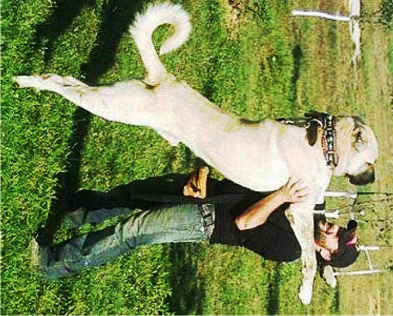 Man Holding Large Dog