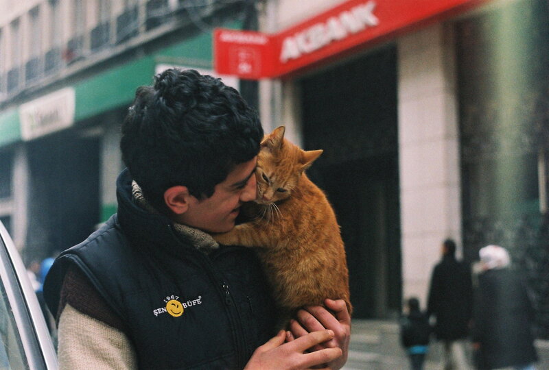 Man Holding Orange Cat