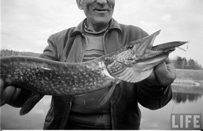 Man Holding Pike