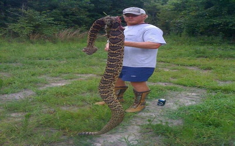 Man Holding Rattlesnake