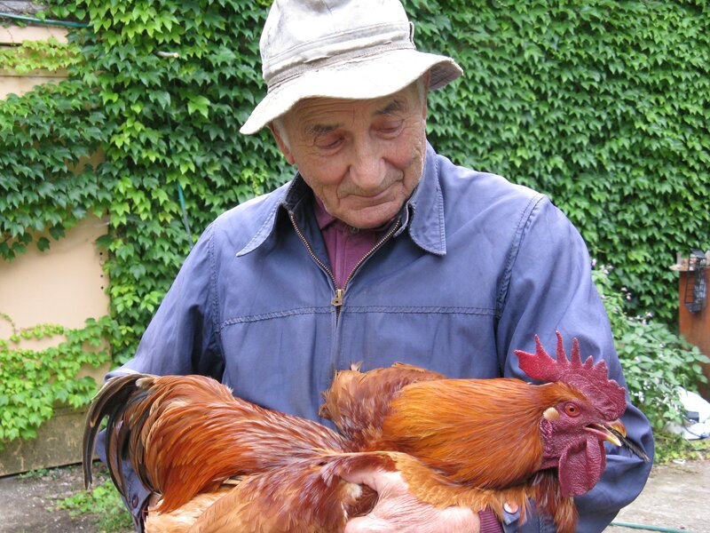 Man Holding Roosters