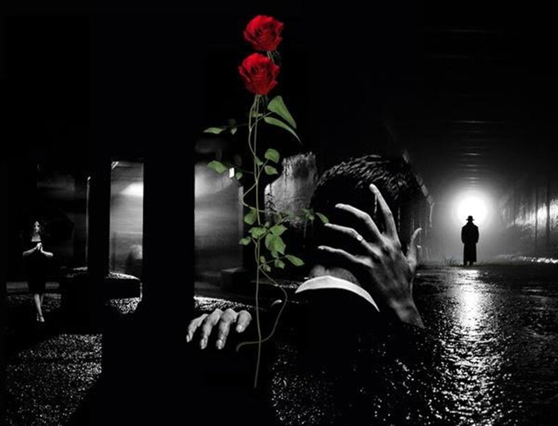 Man Holding Roses — Black, Dramatic, Night