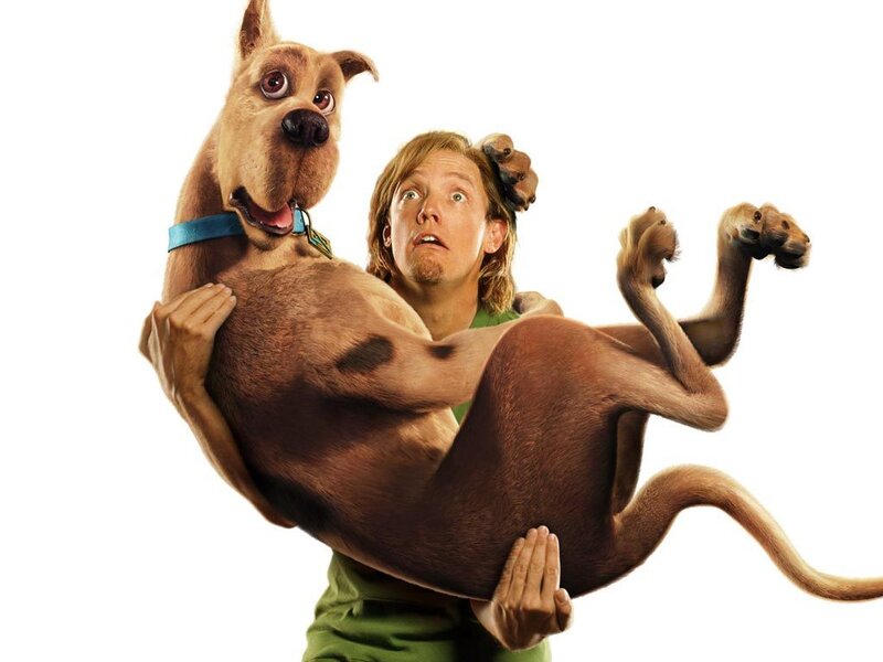Man Holding Scooby-doo