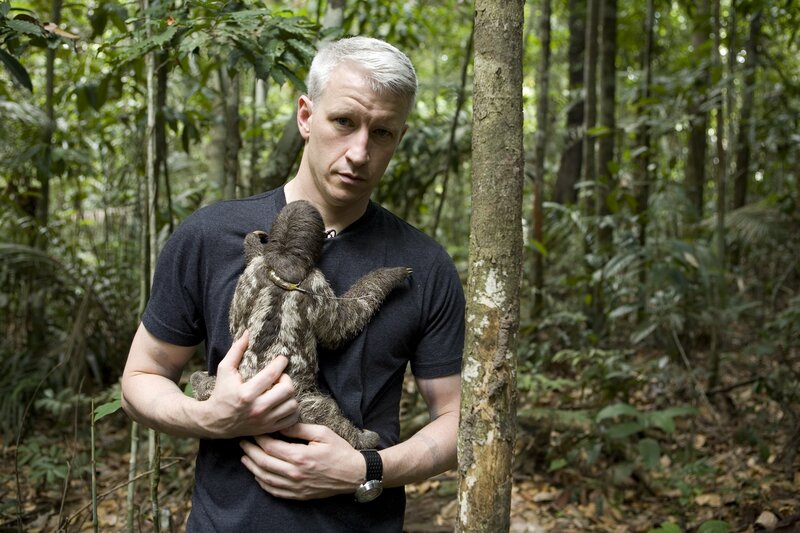 Man holding sloth in forest