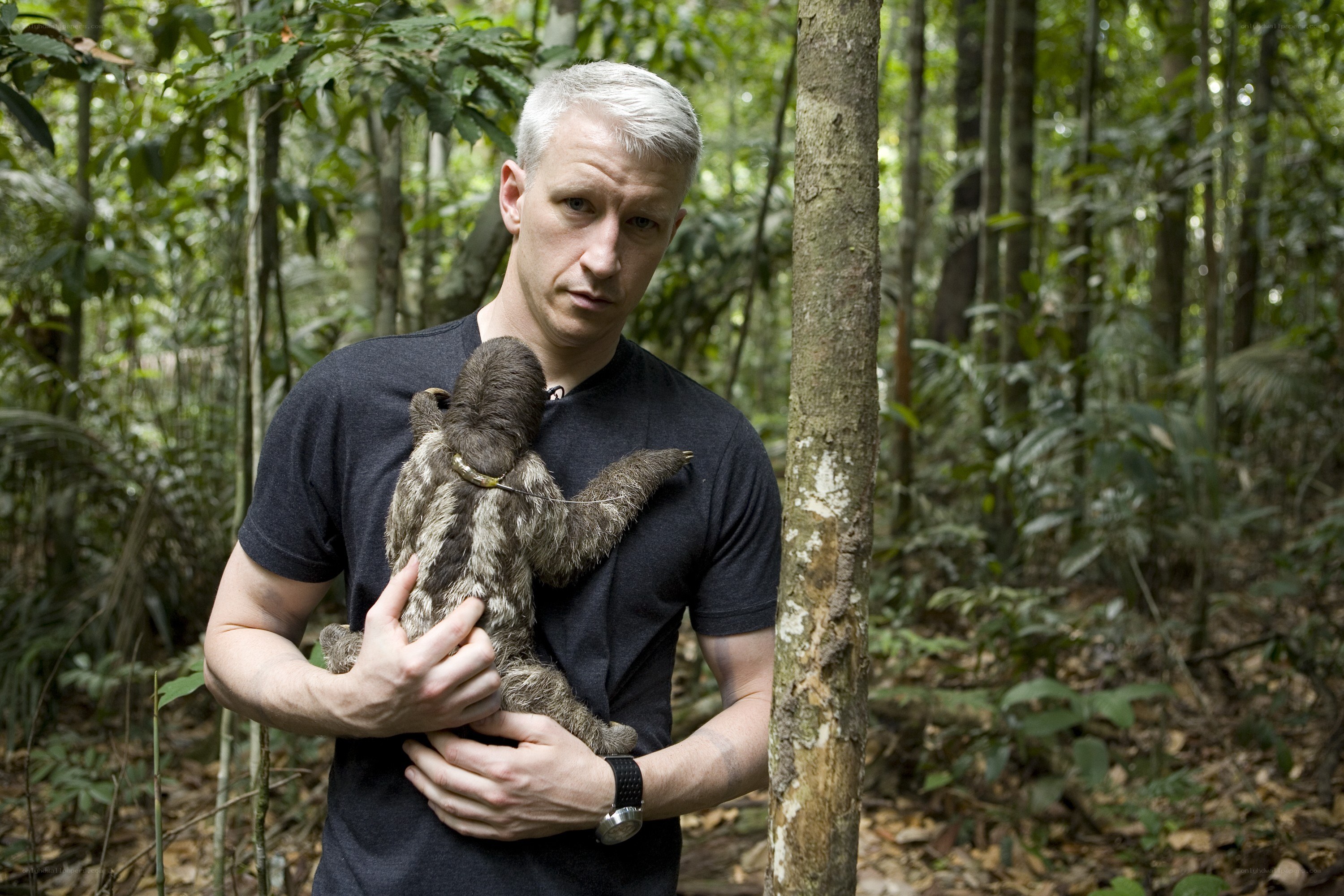 Man holding sloth in forest