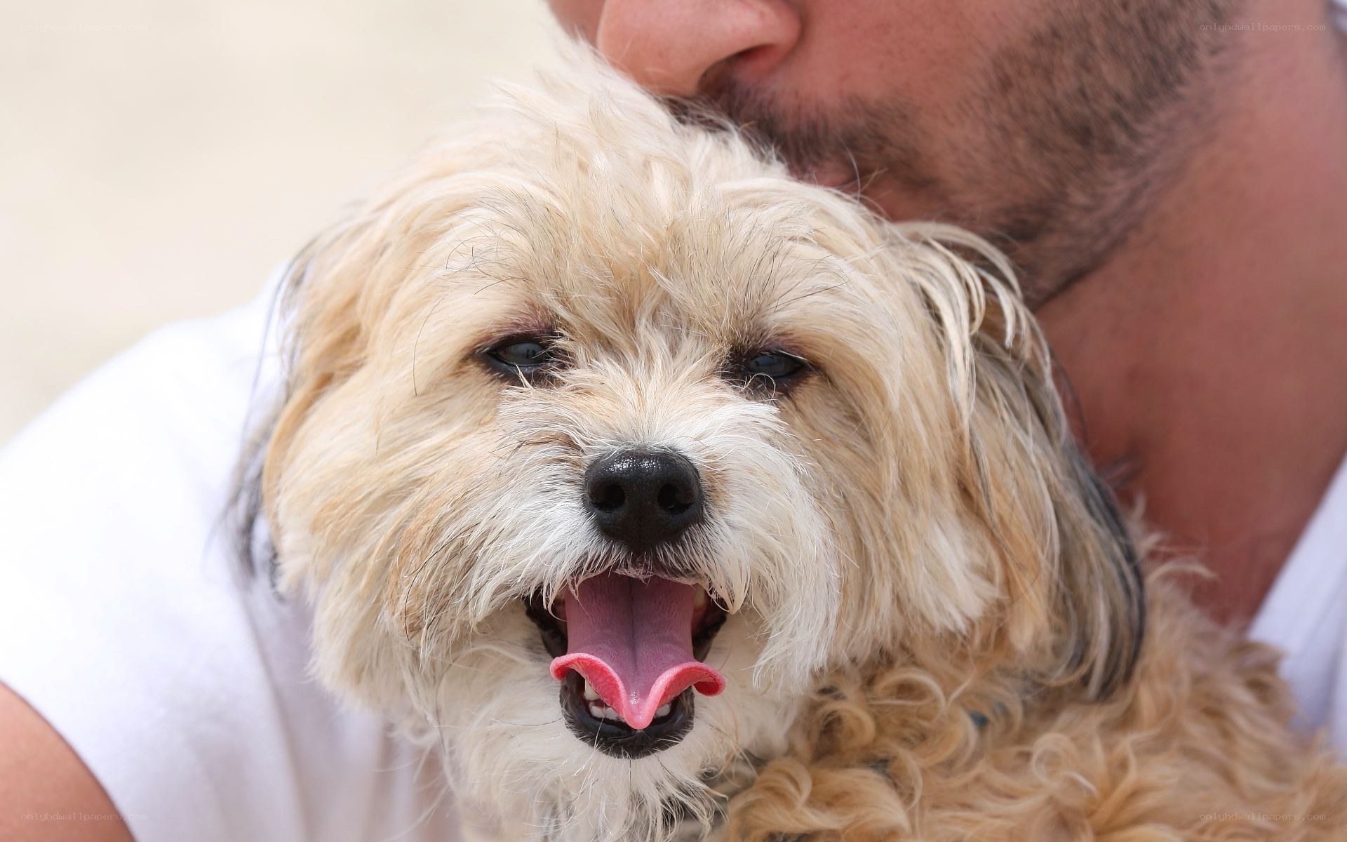 man holding small dog