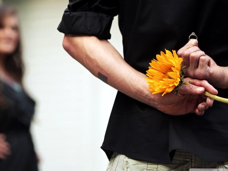 Man Holding Sunflower — Yellow, Romantic