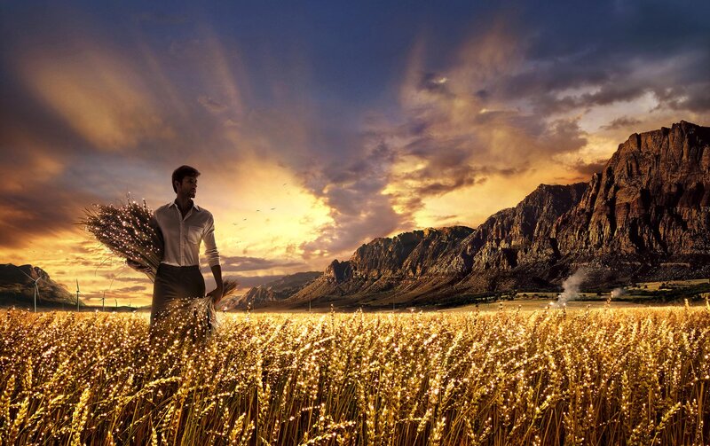 Man Holding Wheat Sheaf